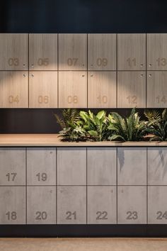 a plant is sitting on top of a counter in a room with numbers and plants