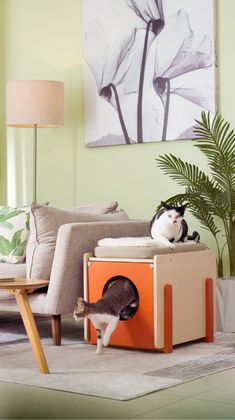 a cat sitting on top of an orange and white box in front of a couch