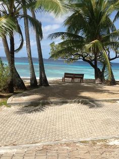 a bench sitting on top of a stone walkway next to palm trees and the ocean