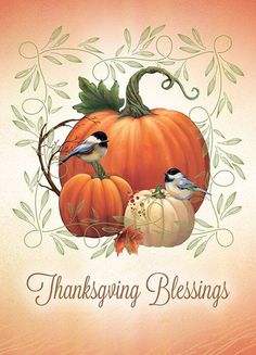 a thanksgiving card with two birds sitting on top of pumpkins and the words, thanksgiving blessing