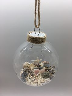 a glass ornament filled with shells and sand