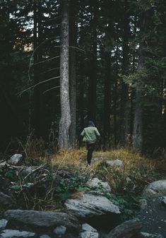 a person walking in the woods near some trees