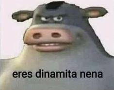 a cartoon cow with the caption eres diamit nena