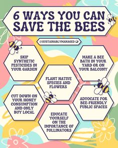 Image with title "6 ways you can save the bees". @SustainablyManaged. Colorful floral background, and bee stickers. Hexagon Grid with text- Skip synthetic pesticides in your garden, Make a bee bath in your yard or on your balcony, Plant native species and flowers, Cut down on your honey consumption and only buy local, Advocate for bee-friendly public spaces like parks, Educate yourself on the importance of pollinators Save The Bees Project, Bee Lapbook, Save The Bees Art, Conservation Poster, Bees Infographic, How To Save The Bees