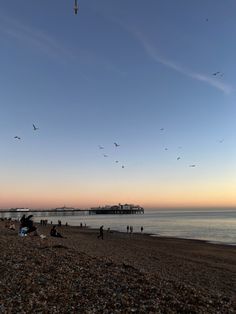 birds flying over the beach at sunset with people on the sand and in the water