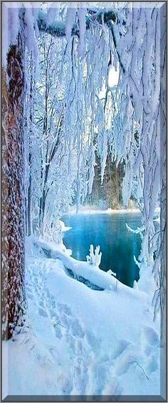 the trees are covered in snow and ice as they stand next to a body of water