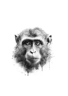 a black and white photo of a monkey's face with watercolor splashes on it