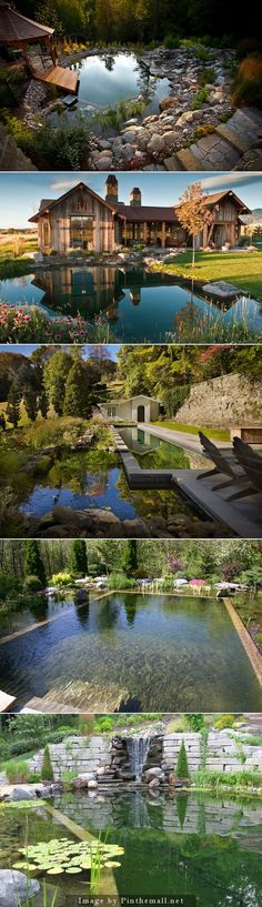 the four images show different types of houses and water features in each photo, there is a pond with lily pads growing on it