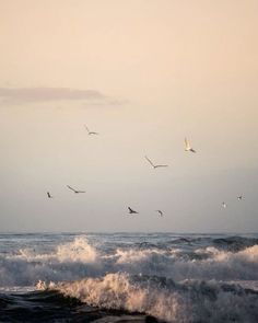 seagulls flying over the ocean with waves crashing in front of them at sunset