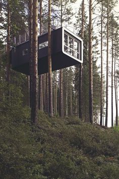 a tree house in the middle of a forest with lots of trees on it's sides