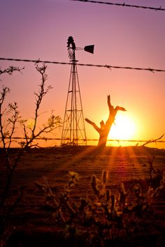 the sun is setting behind a wire fence with a windmill in the foreground and a silhouette of a tree