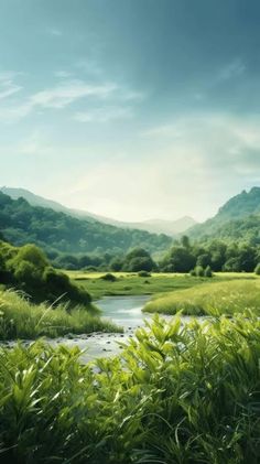 a river running through a lush green countryside