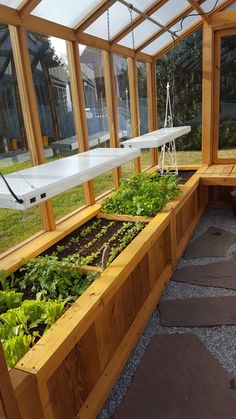 an indoor greenhouse with many plants growing in it