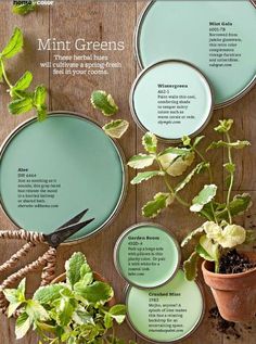 an advertisement for home depot featuring green paint and potted plants on wooden boards with text describing how to use them