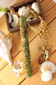 a wooden table topped with lots of different types of seashells and sea urns