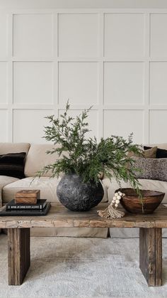 a living room with a couch, coffee table and potted plant on top of it