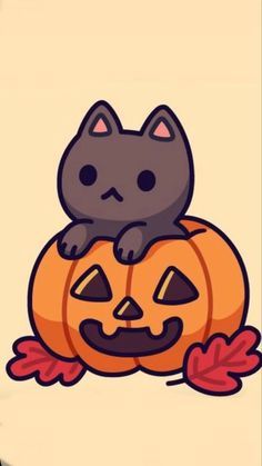 a cat sitting on top of a pumpkin