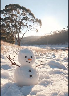 a snowman in the middle of a snowy field