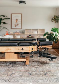 a row of chairs sitting on top of a wooden table next to a plant in a living room