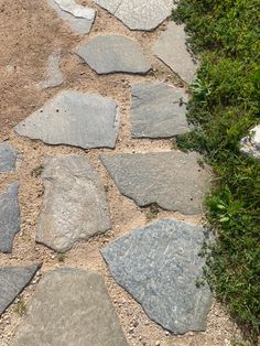 an image of a stone path with grass growing on it's sides and rocks in the middle