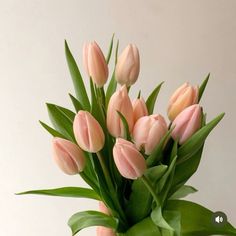 a vase filled with pink tulips on top of a table