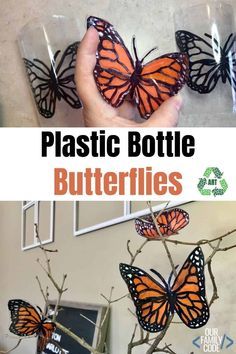 a hand holding a plastic bottle filled with butterflies on top of a tree in front of a