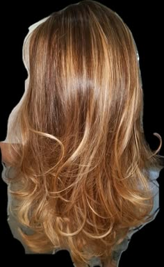 Layers Long Hair, Golden Highlights Brown Hair, Hairstyles For All Hair Types, Aesthetic Hairstyles, Honey Brown Hair, Brown Hair Inspo, Hair Color Caramel, Dyed Hair Inspiration, Caramel Hair