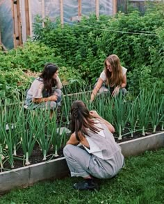 three women in a garden looking at plants