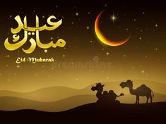 arabic greeting card with camels and crescent in the desert at night royalty illustration for eid mubarak