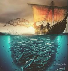 an image of a boat full of fish in the ocean