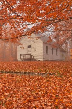 an old white house surrounded by fall leaves