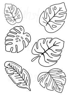 four different types of tropical leaves in black and white, with the outlines for each leaf