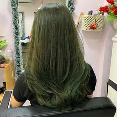 Green And Brown Hair Aesthetic, Green Hair Colour Ideas, Green Highlights In Light Brown Hair, Moss Colored Hair, Swamp Witch Hair, Green Tinted Hair, Moss Green Hair Color, Green Tea Hair Color, Muddy Green Hair