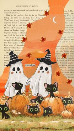 two white cats wearing witches hats surrounded by black kittens in front of an orange sky