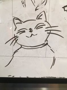 a drawing of a cat is on the wall