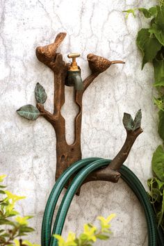 a hose connected to a tree with two birds hanging on it's branches and attached to a wall