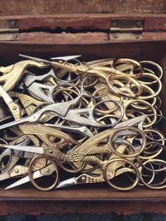 there are many pairs of scissors in the box that is open and ready to be used