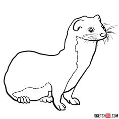 an animal that is standing up and looking at the camera with its mouth open, coloring page