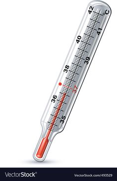 a thermometer on a white background with clippings for text or image