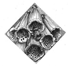 an ink drawing of some flowers in a diamond shape with black and white lines on it