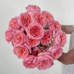 Pink Xpression Garden Rose Pale Pink Ranunculus, Light Pink Spray Rose, Pink Mondial Rose, Pink Xpression Roses, Rose Diy, Flower Moxie, Long Vase, Plush Pink Roses, Flower Subscription