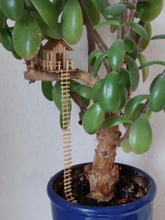 a small tree in a blue pot with a ladder on it's side,