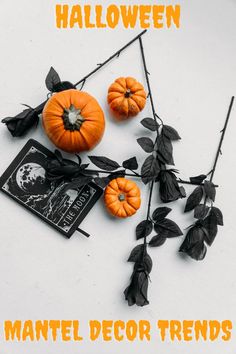 halloween decorations with leaves and pumpkins on white background