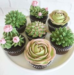 cupcakes decorated with flowers and succulents on a white platter