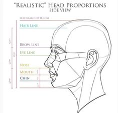 the side view of a man's head with different facial types and their corresponding features