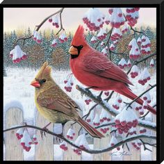 two birds sitting on a tree branch in front of snow covered branches with berries hanging from it