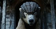 a polar bear with a helmet on it's head in front of a building