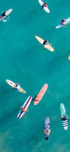 several surfers are in the water with their boards