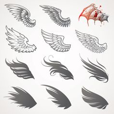 a set of wings with different shapes and colors