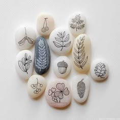 some rocks with different designs on them and one has a leaf in the middle,